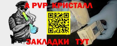 амф Гусев