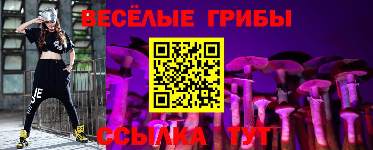 Псилоцибиновые грибы мицелий  наркотики  Вход с VPN  Благодарный  Галлюциногенные грибы мухоморы 